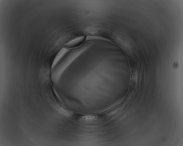X0000089960526200707131540
