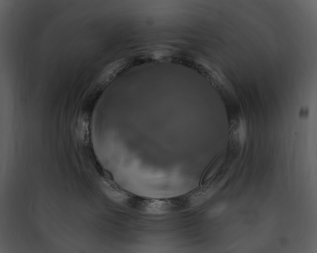 X0000089960527200707131540