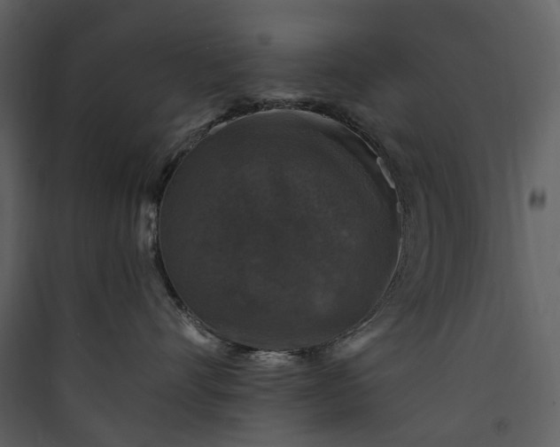 X0000089960528200707131540