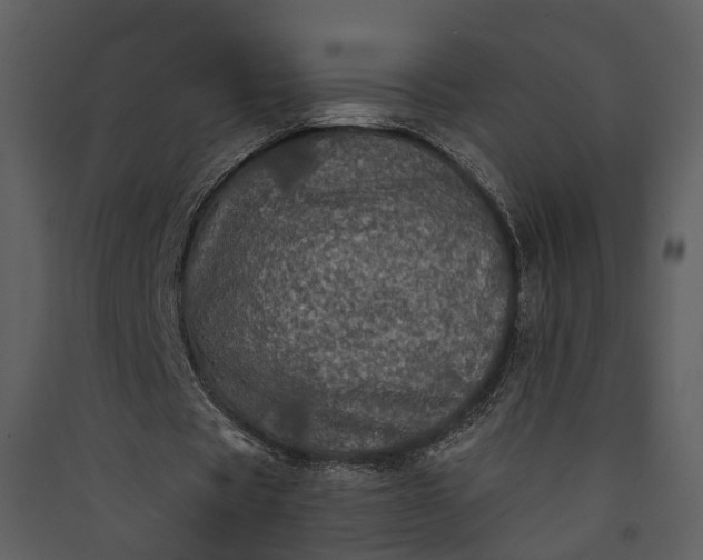 X0000089960529200707131539