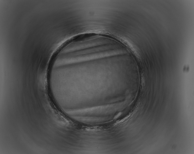 X0000089960532200707131539