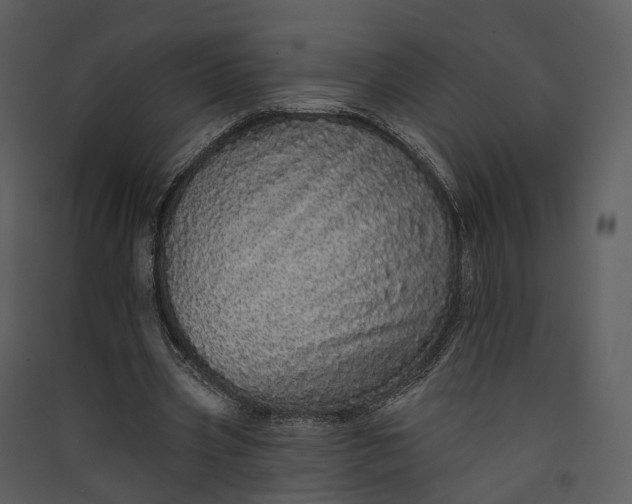 X0000089960533200707131539