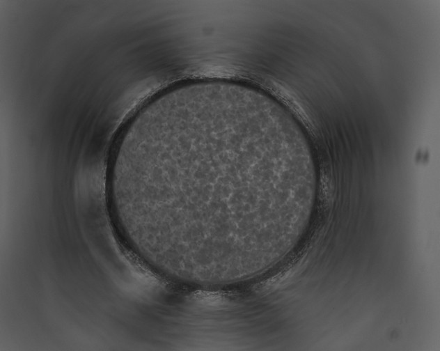 X0000089960534200707131539