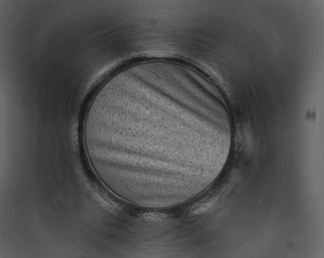 X0000089960535200707131539