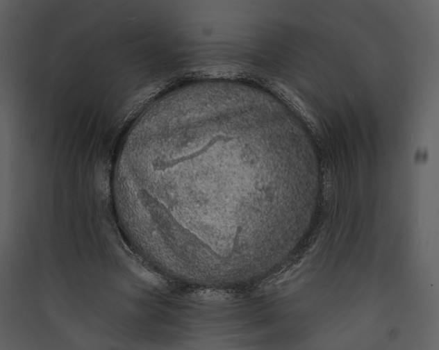 X0000089960537200707131539