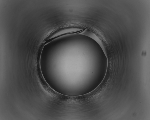 X0000089960538200707131539