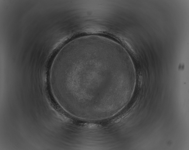 X0000089960539200707131539