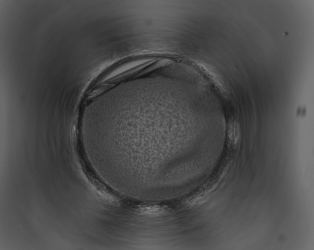 X0000089960540200707131539