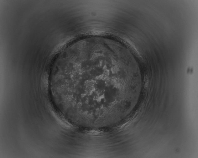 X0000089960542200707131539