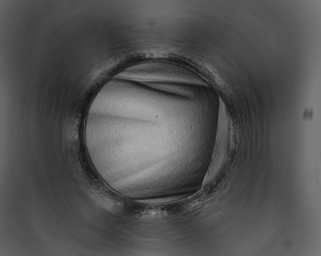 X0000089960543200707131539