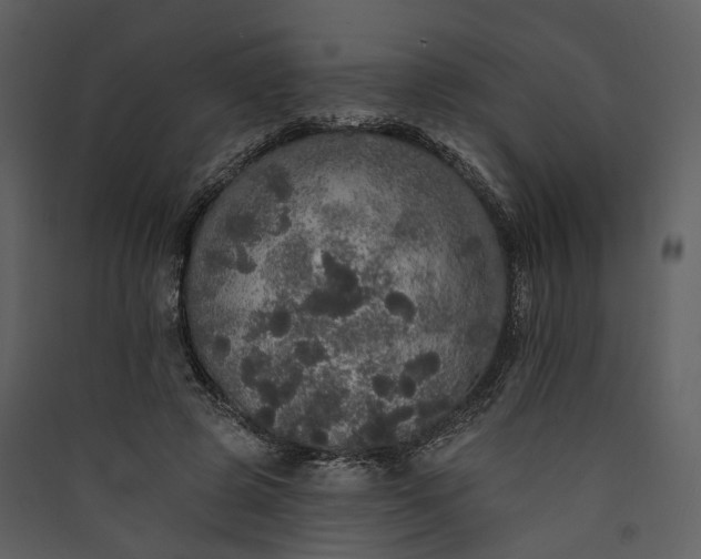 X0000089960545200707131539