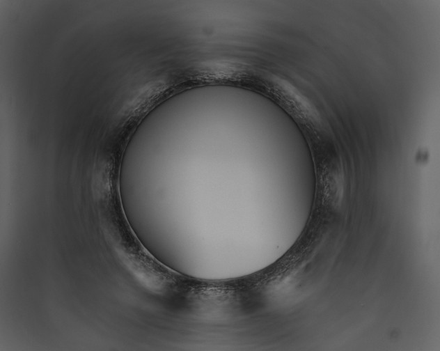 X0000089960546200707131539