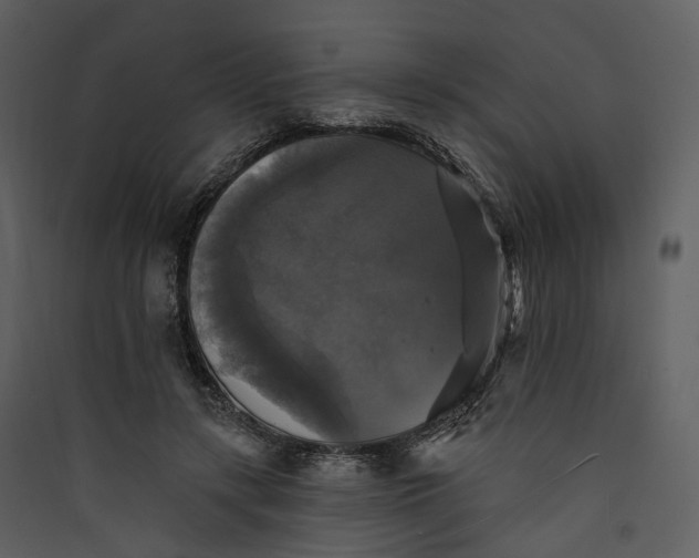 X0000089960547200707131539