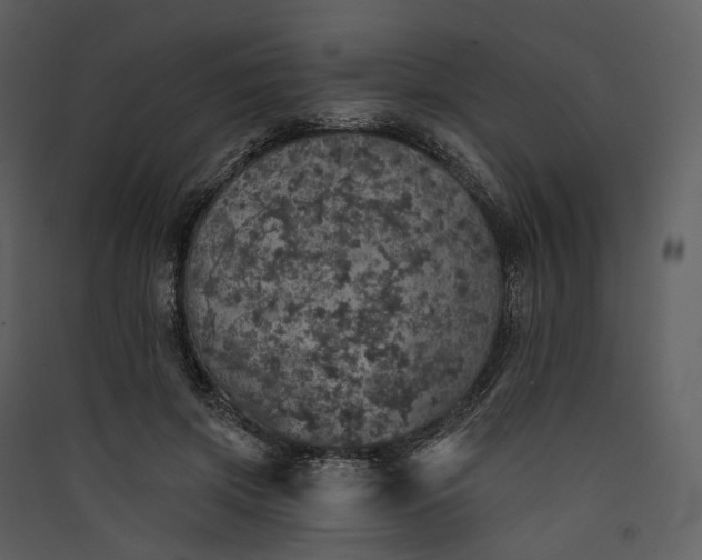 X0000089960549200707131539