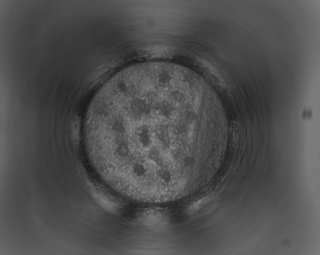 X0000089960550200707131539