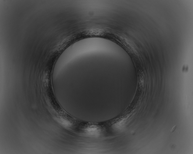 X0000089960551200707131539