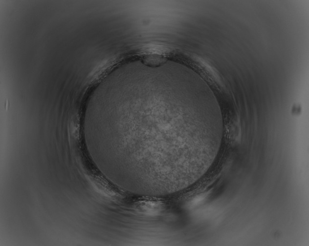 X0000089960552200707131540