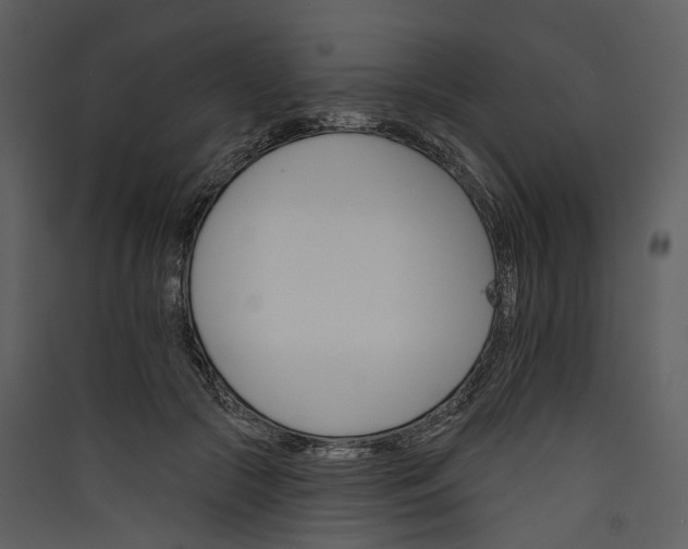 X0000089960553200707131540