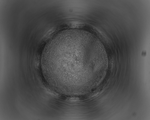 X0000089960554200707131540