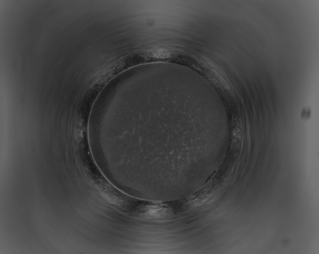 X0000089960555200707131540