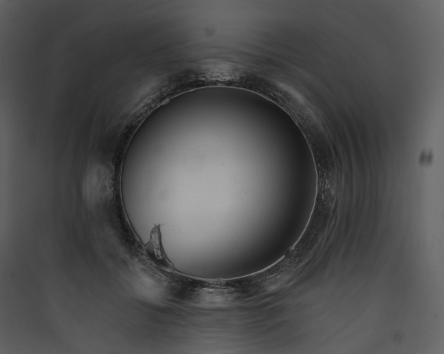 X0000089960556200707131540