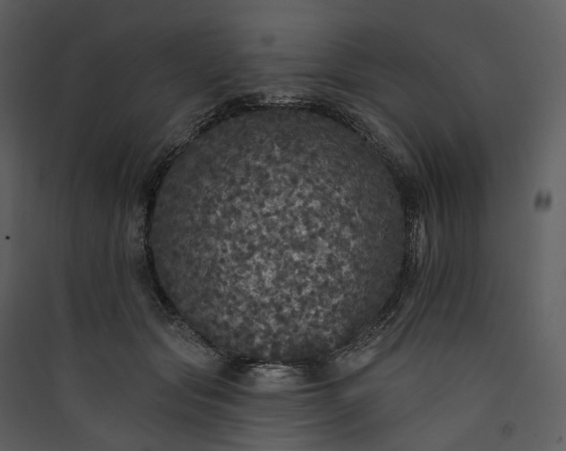X0000089960557200707131540