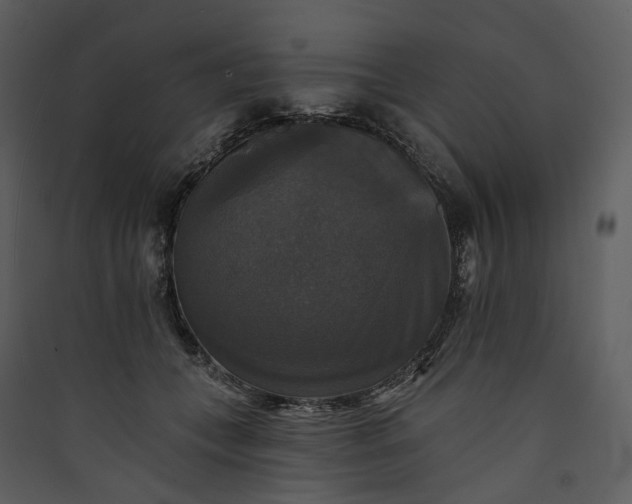 X0000089960559200707131540