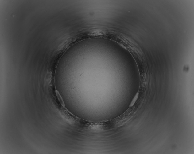 X0000089960560200707131540