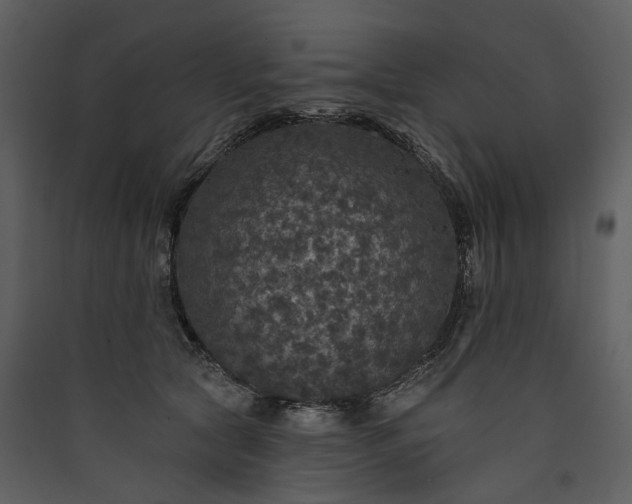 X0000089960561200707131540