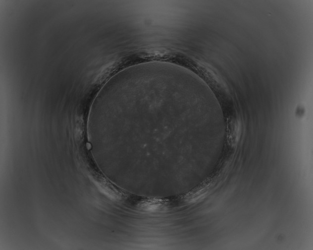 X0000089960563200707131540