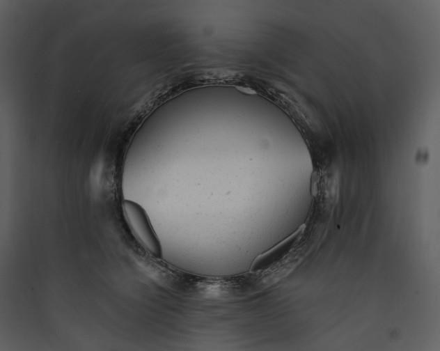 X0000089960564200707131540
