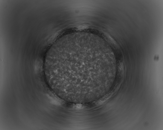 X0000089960565200707131540