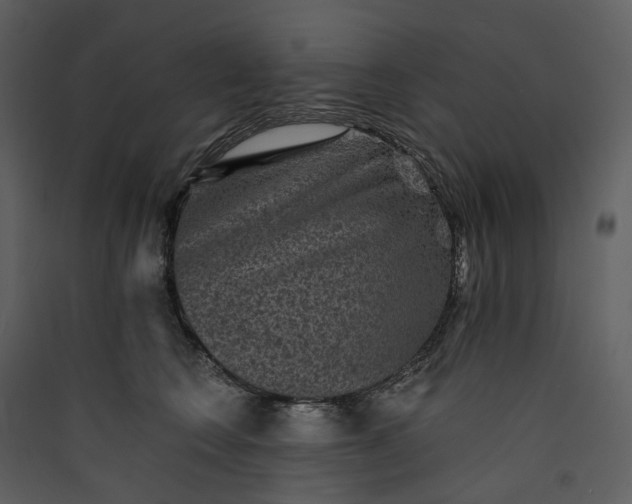 X0000089960566200707131540