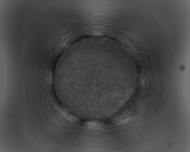 X0000089960568200707131540