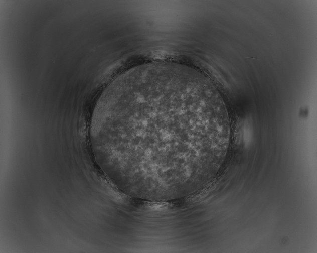 X0000089960569200707131540
