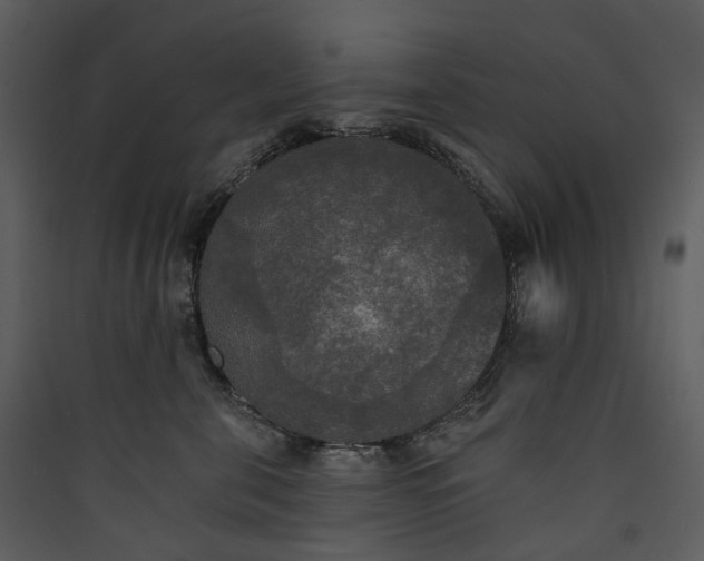 X0000089960571200707131540