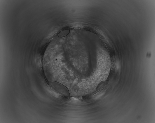 X0000089960573200707131540