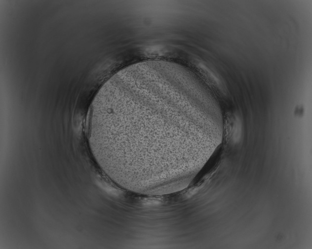 X0000089960574200707131540