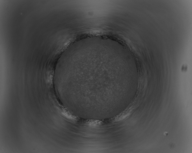 X0000089960576200707131540