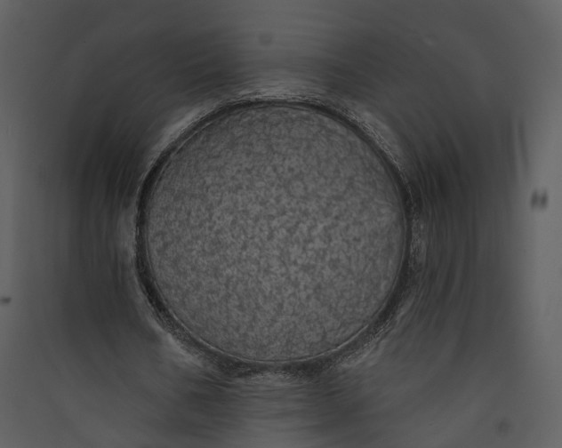 X0000089960578200707131539