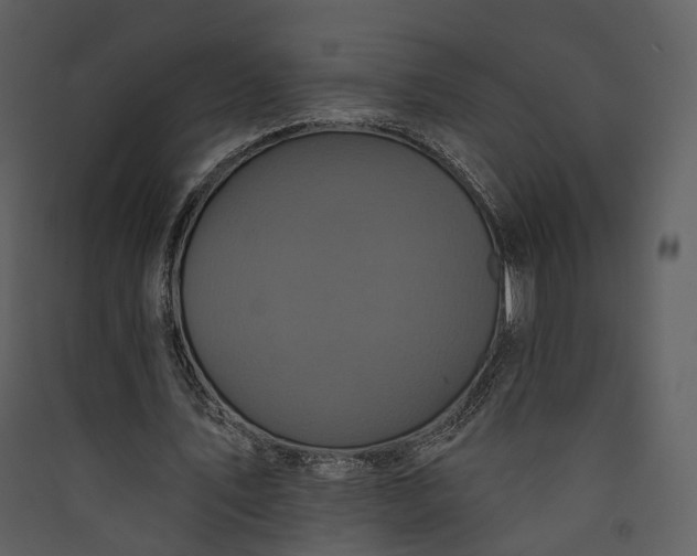 X0000089960579200707131539