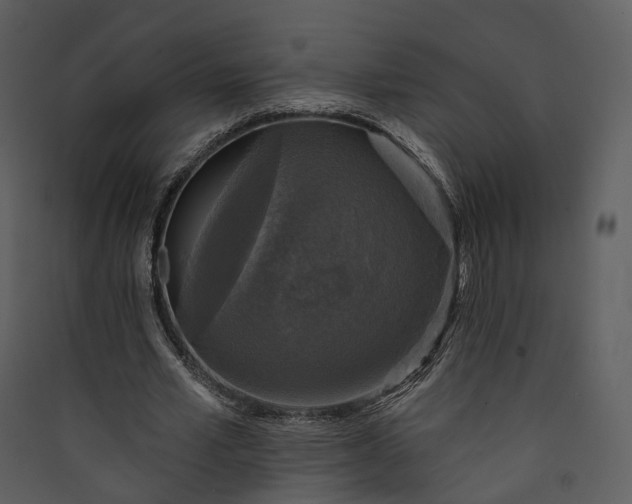 X0000089960581200707131539
