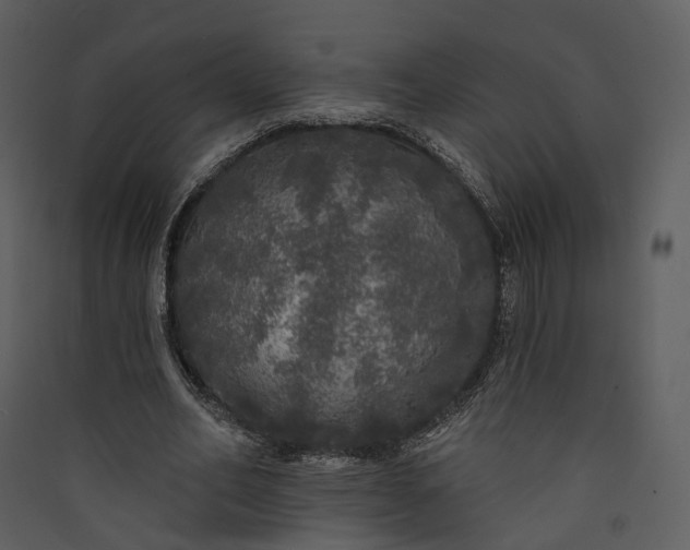 X0000089960582200707131539