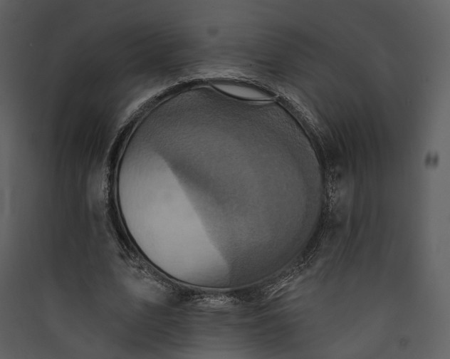 X0000089960583200707131539