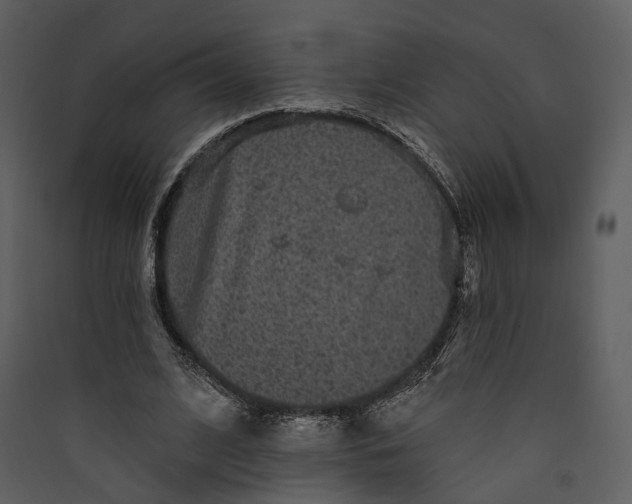 X0000089960584200707131539