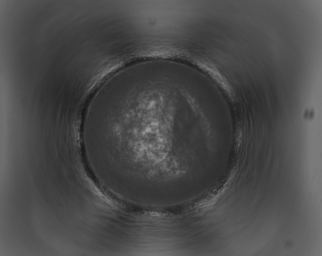 X0000089960585200707131539