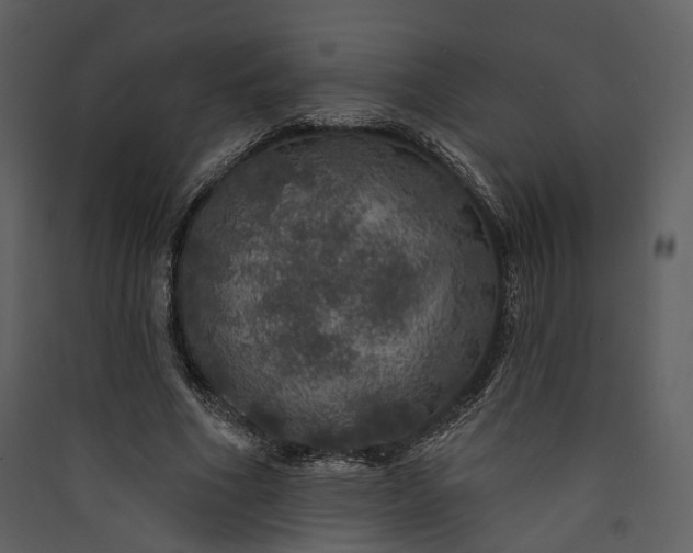 X0000089960586200707131539