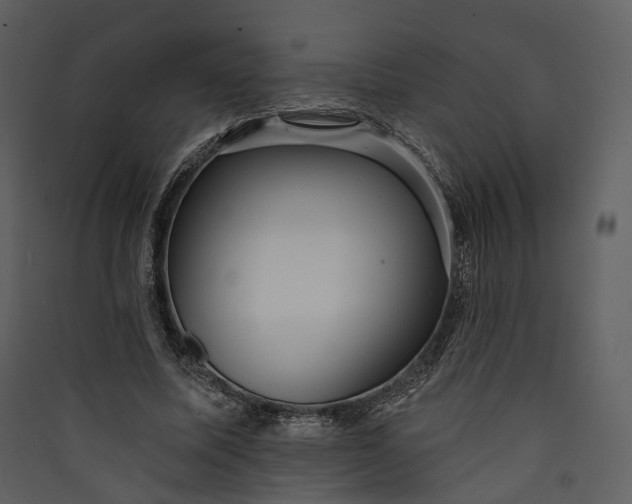 X0000089960587200707131539