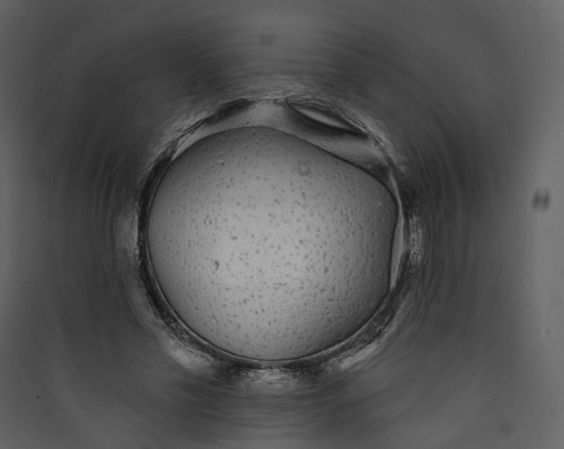 X0000089960589200707131539