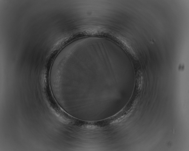 X0000089960590200707131539